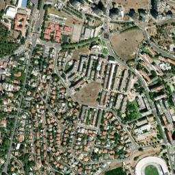 São Francisco Xavier map(satellite map)