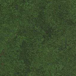 Braxton County map(satellite map)