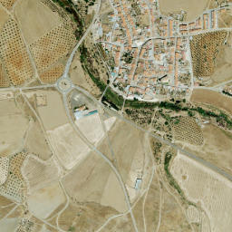 Palomas map(satellite map)