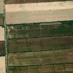 Nishon Tumani map(satellite map)