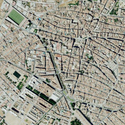 Almendralejo map(satellite map)