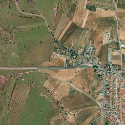 Alamillo map(satellite map)