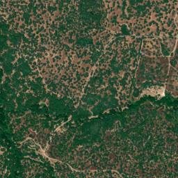 Montemor-o-Novo map(satellite map)