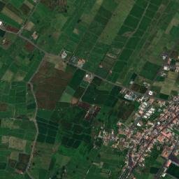 Ribeirinha map(satellite map)