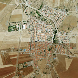 Puebla de la Reina map(satellite map)