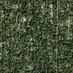 Olivette map(satellite map)