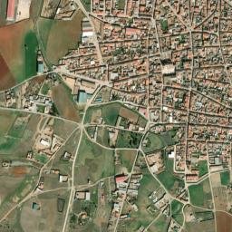 Torrenueva map(satellite map)