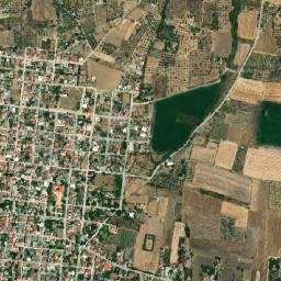 Eláteia map(satellite map)