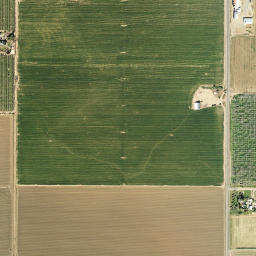 Citrona California High Resolution Satellite Map