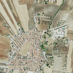 Torre de Miguel Sesmero map(satellite map)