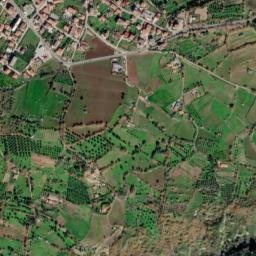 Ricadi map(satellite map)