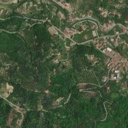 Pizzoni map(satellite map)