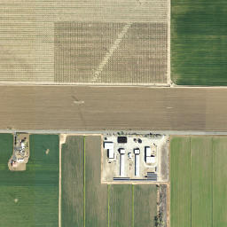 Arroz California High Resolution Satellite Map