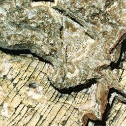 Behind the Reef Trail Green River UT High Resolution Satellite Map