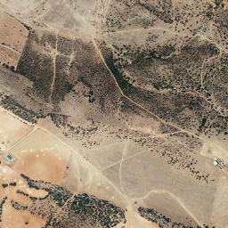 Pozuelo de Calatrava map(satellite map)