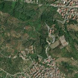 Acquaro map(satellite map)