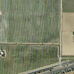 Swingle California High Resolution Satellite Map