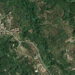 Dinami map(satellite map)