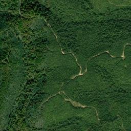 Lewis County map(satellite map)