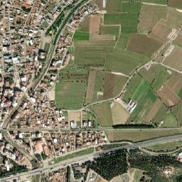 Ahmetli map(satellite map)