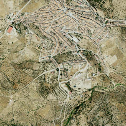 Feria map(satellite map)