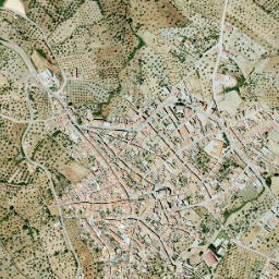 Salvatierra de los Barros map(satellite map)