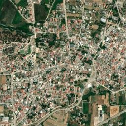 Orchomenós map(satellite map)