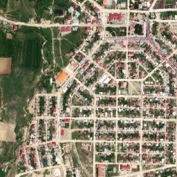Lice map(satellite map)