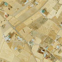 Dos Torres map(satellite map)