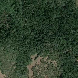 Satellite view of Oakmont Golf Club