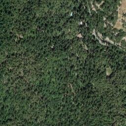 Alliance Redwood California High Resolution Satellite Map