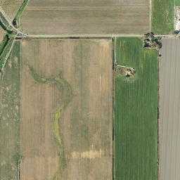 Willow Point California High Resolution Satellite Map