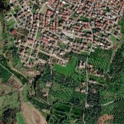 Rizziconi map(satellite map)