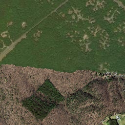 Massanutten map(satellite map)