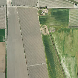 Central California High Resolution Satellite Map