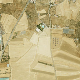 Alcaracejos map(satellite map)