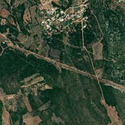 Alíartos map(satellite map)
