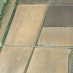 Green California High Resolution Satellite Map