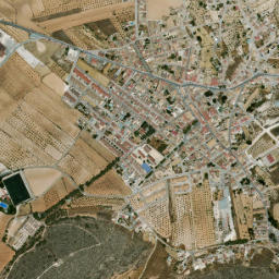 Algueña map(satellite map)