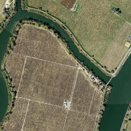 Morgans Landing California High Resolution Satellite Map