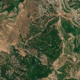 Merkez map(satellite map)