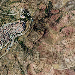 Chiclana de Segura map(satellite map)