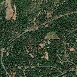 Camp Connell California High Resolution Satellite Map