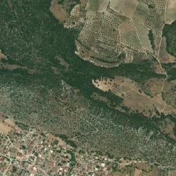 Asopía map(satellite map)