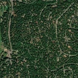 Dorrington California High Resolution Satellite Map