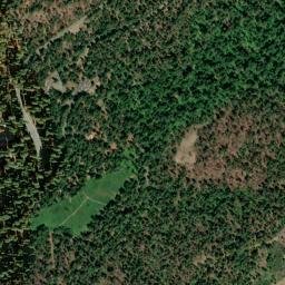 Big Trees California High Resolution Satellite Map