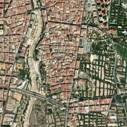 Elche map(satellite map)