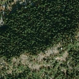 Lilac Park California High Resolution Satellite Map