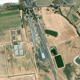 Schellville California High Resolution Satellite Map