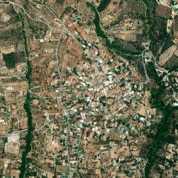 Polydéndri map(satellite map)